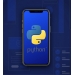 Курс по разработке приложений на языке Python