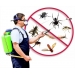 Дезинсекция,  уничтожение насекомых
